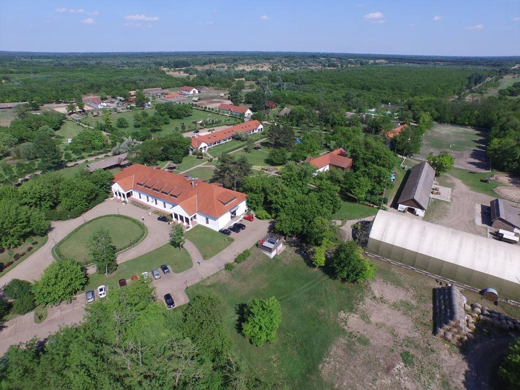 Sarlospuszta Club Tatárszentgyörgy